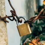 What lies beyond lockdown?